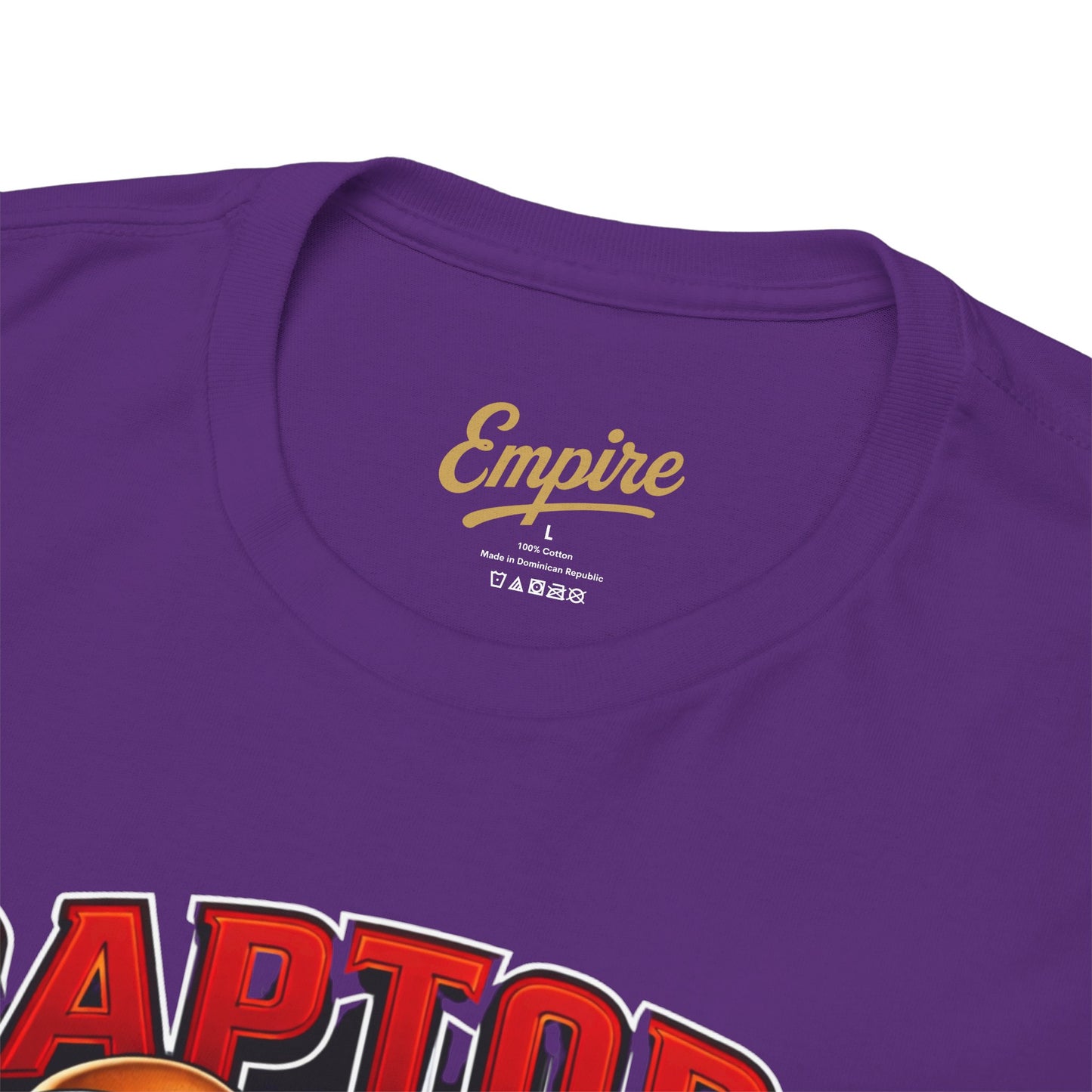 Raptors Basketball Tee — Vintage Cartoon Players Graphic Shirt