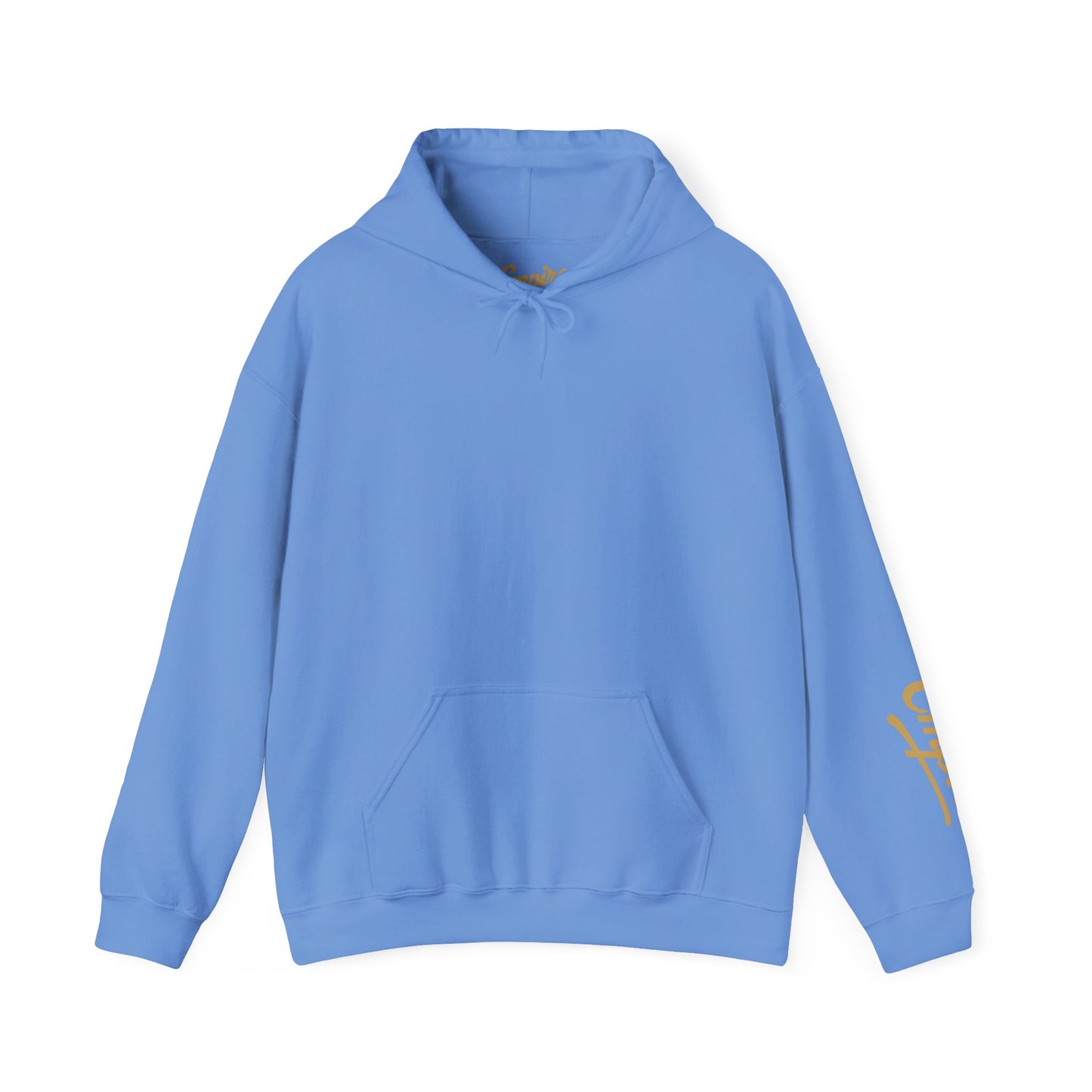 Empire Hoodie – Pullover with Gold Print
